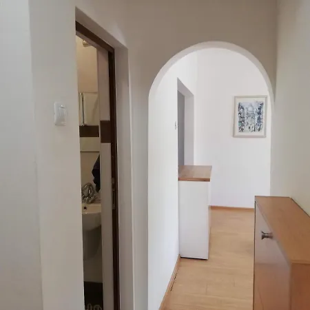 The Yellow House * スタラ・ザゴラ